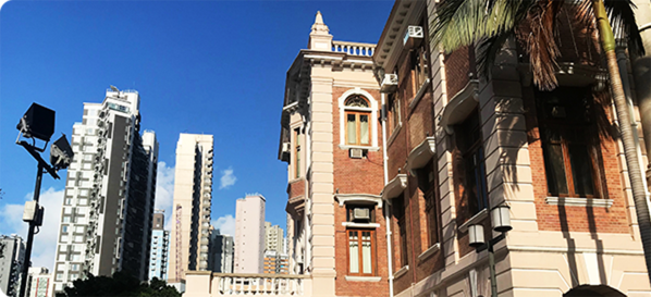 个性化香港升学服务